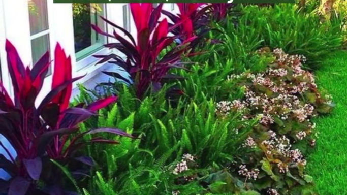 Flower bed creation services
